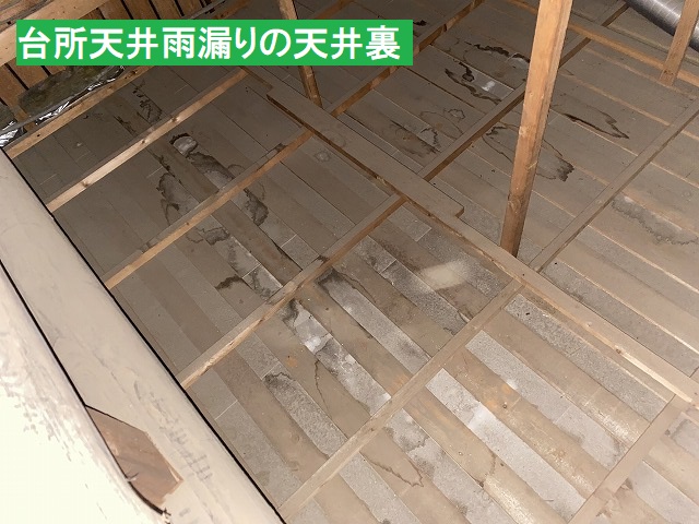 天井裏から見た台所天井への雨漏り染み