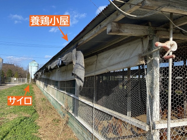 石岡市養鶏小屋トタン屋根調査