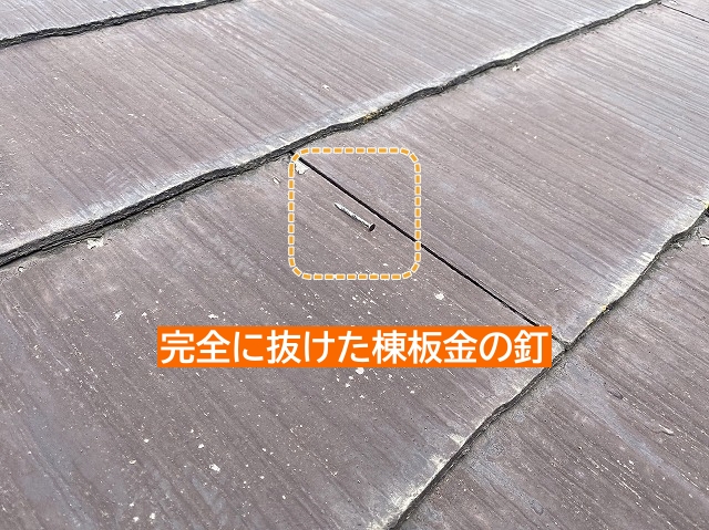 完全に抜けた棟板金の釘