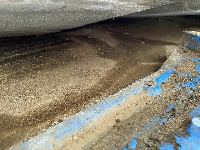 セメント瓦を外し内部を確認