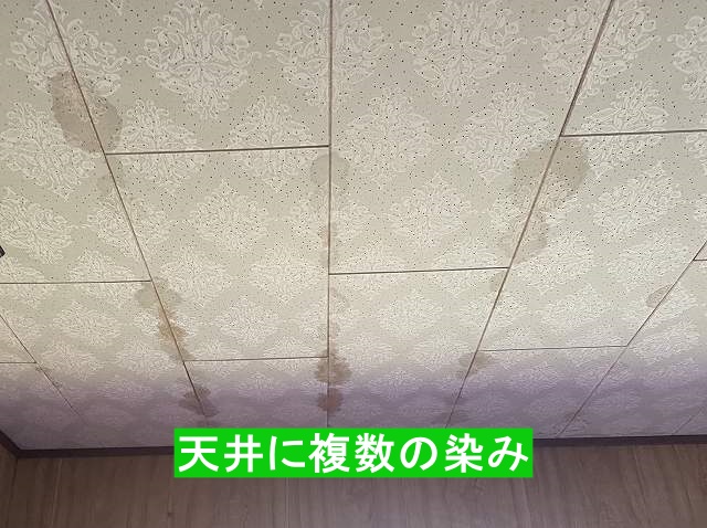 天井に複数の染み