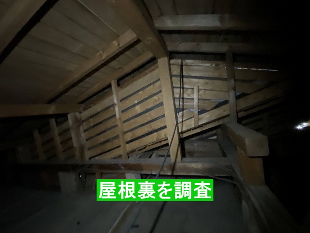 城里町の調査現場の屋根裏
