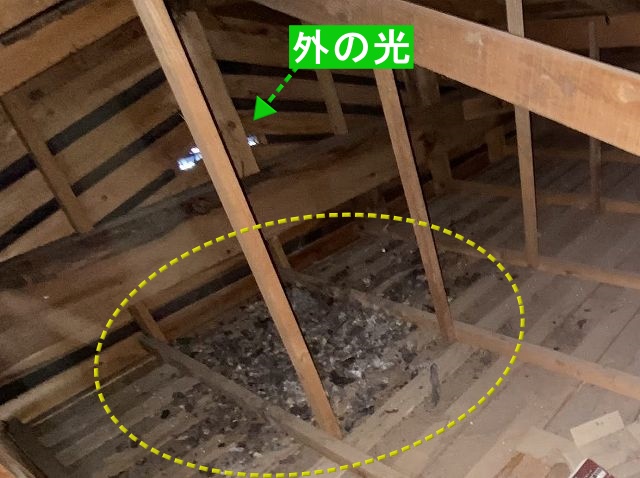 天井裏に糞尿？