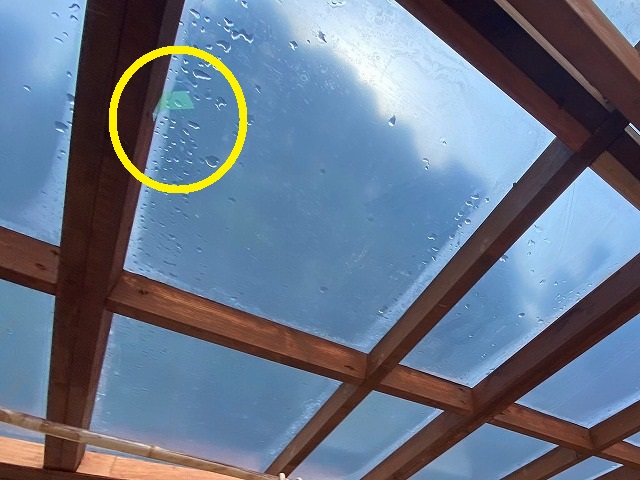 雨漏りが発生しているサンルームの場所