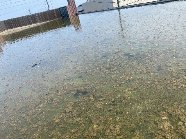 パラペット内がプール状態の現場