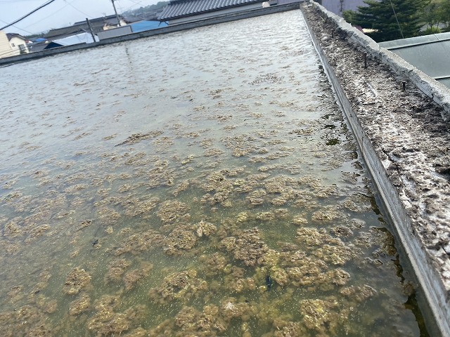 腰壁の高さまで雨水が溜まっている