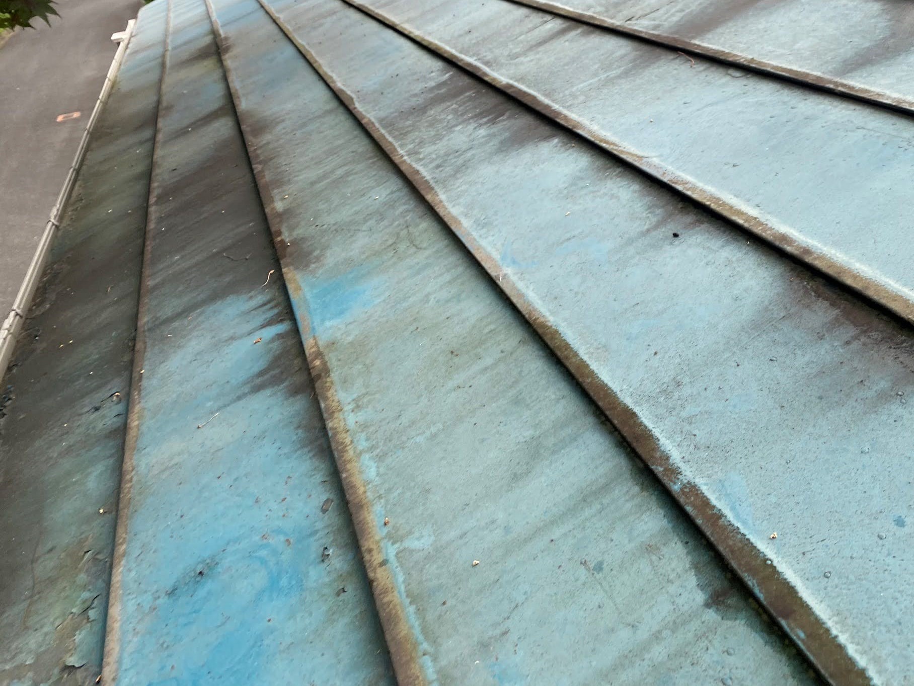 メンテナンスが必要な状態の金属屋根