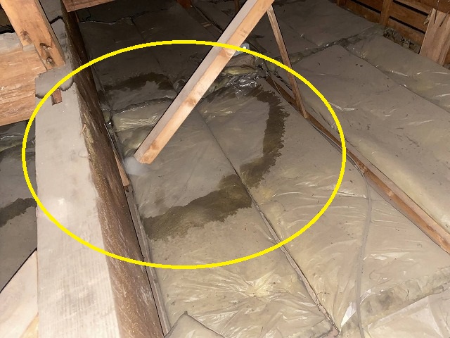 天井裏で断熱材に雨漏りしているのを確認