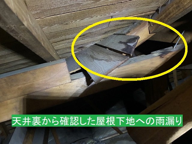 天井裏から確認した屋根下地への雨漏り