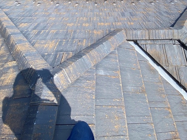 城里町ニューエクセル棟瓦のずれ