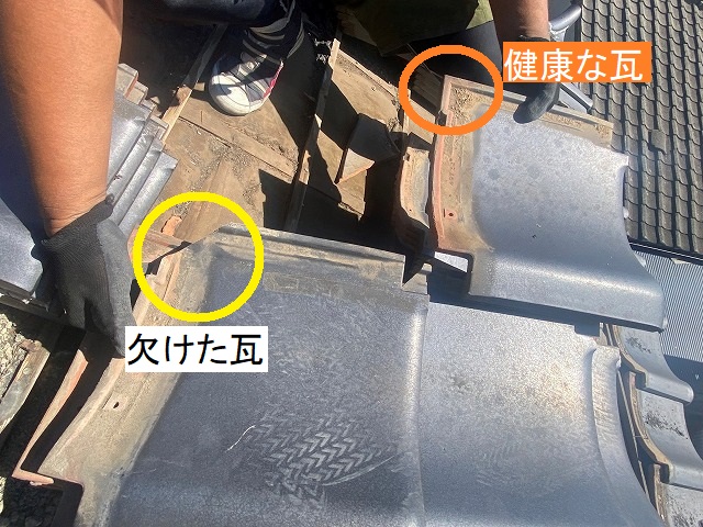 欠けた瓦と健全な瓦の比較