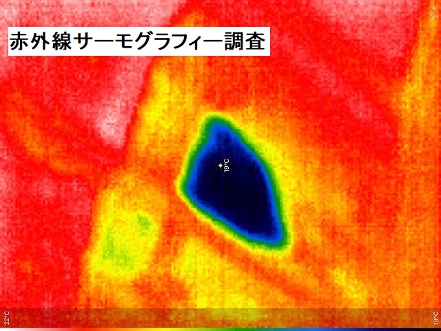 サーモグラフィーカメラを使用し、雨漏りの状態を確認