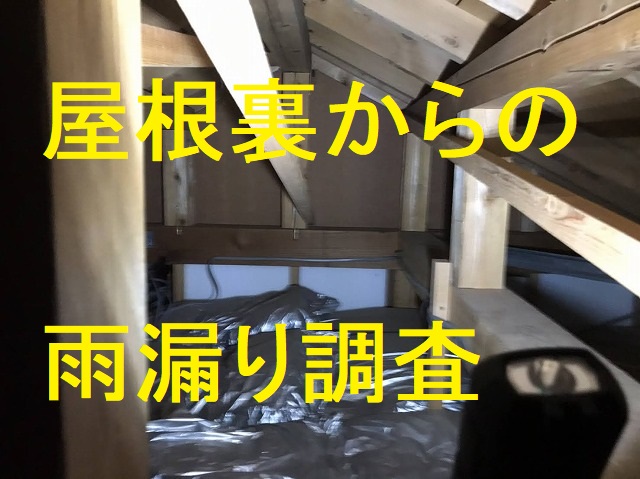 天井裏から実施した雨漏り調査の様子