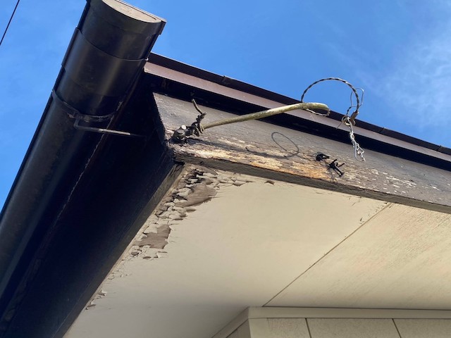 雨水が廻っている症状の木製破風板と軒天