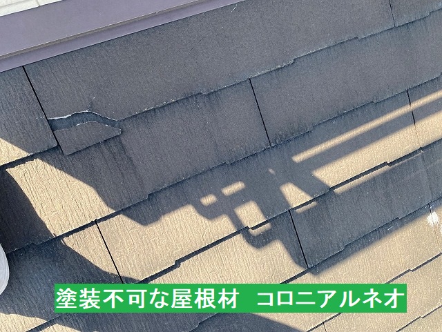 日立市で調査したコロニアルネオ屋根材