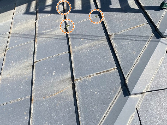 湿気が溜まりやすい屋根材の継ぎ目に発生したコケ