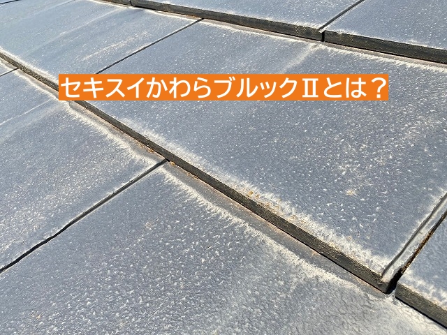 セキスイかわらブルックⅡについて説明