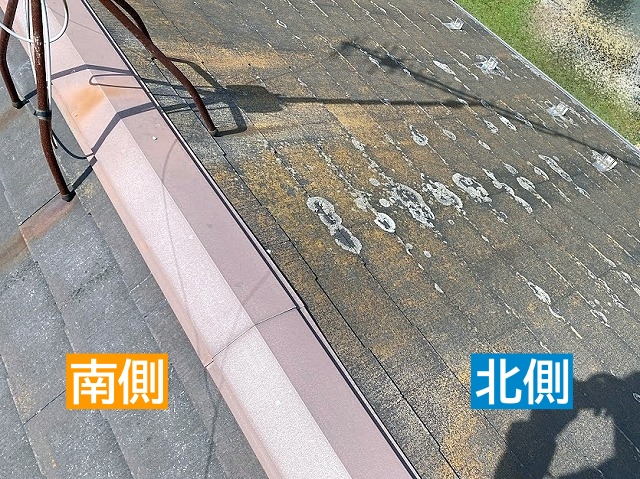 北側の屋根面に増殖したカビや苔