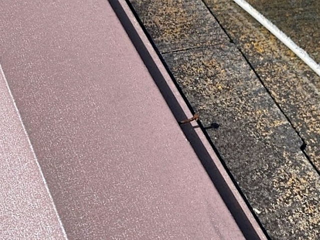 多数見つかった棟板金の釘抜け