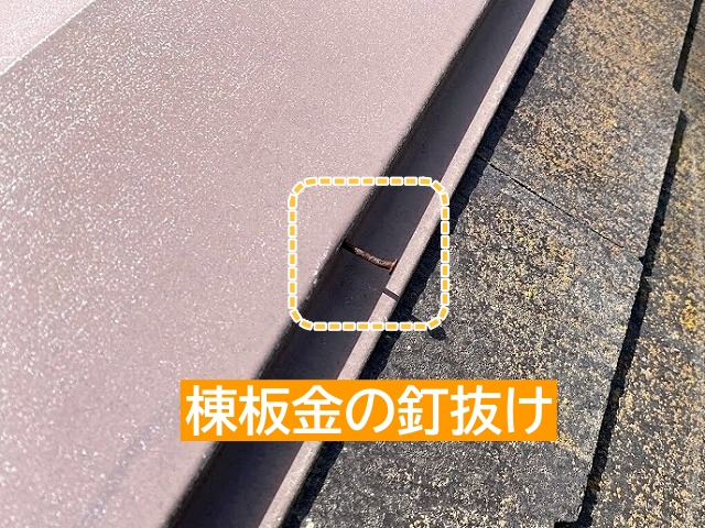 固定用の釘が抜けた棟板金