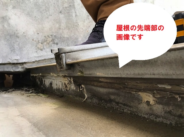 水戸市のパラペット屋根雨漏り調査で屋根の先端部の画像です