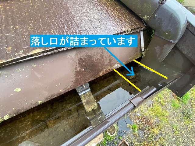 雨樋の落とし口が詰まっている