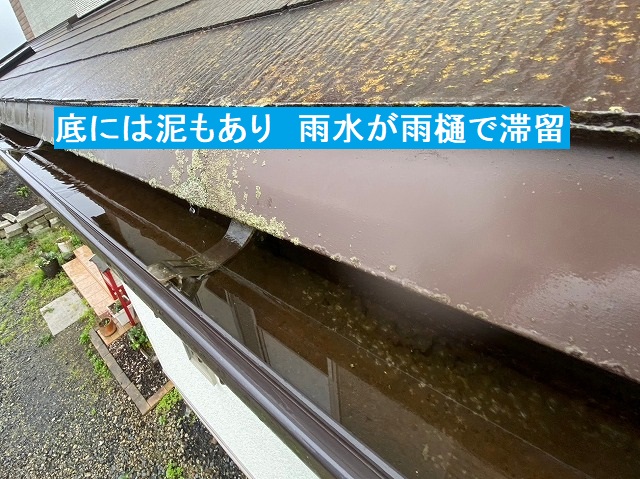 雨樋の底に泥が詰まり、雨水が雨樋に滞留