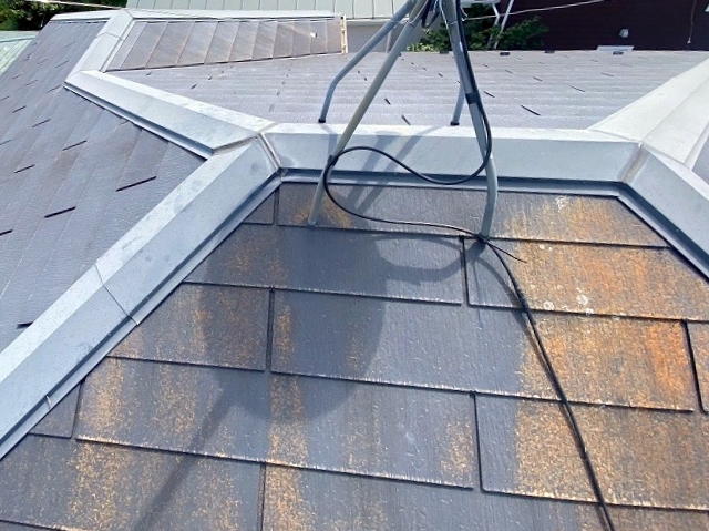 日陰になりやすい屋根面にコケやカビが繁殖