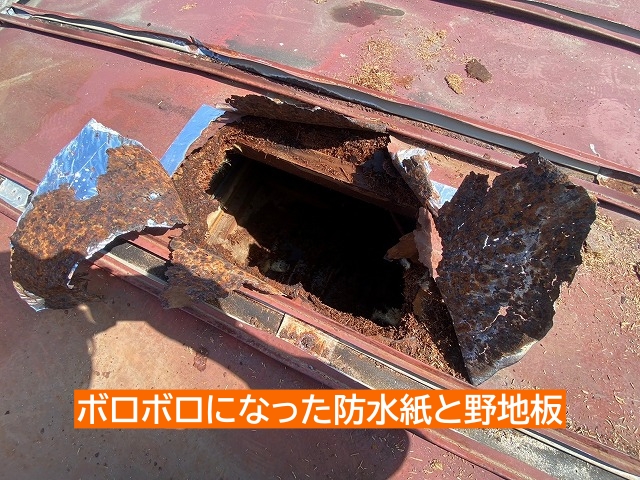 ボロボロになった防水紙と野地板