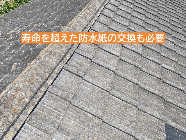 築40年近いセメント瓦の防水紙は張り替えが必要