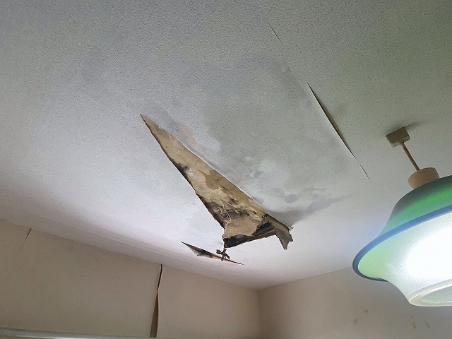 雨漏りで剥がれた天井クロス