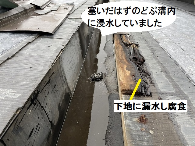 塞いだはずのどぶ溝に浸水しています