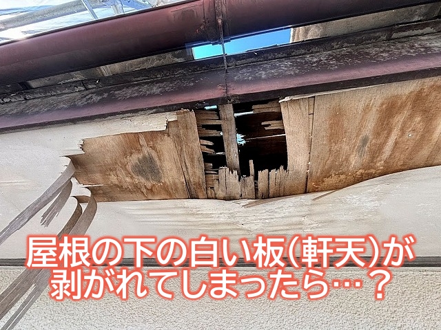 屋根の下の白い板（軒天）が剥がれてしまったら？