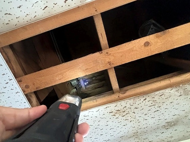 天井裏に広がった雨染み