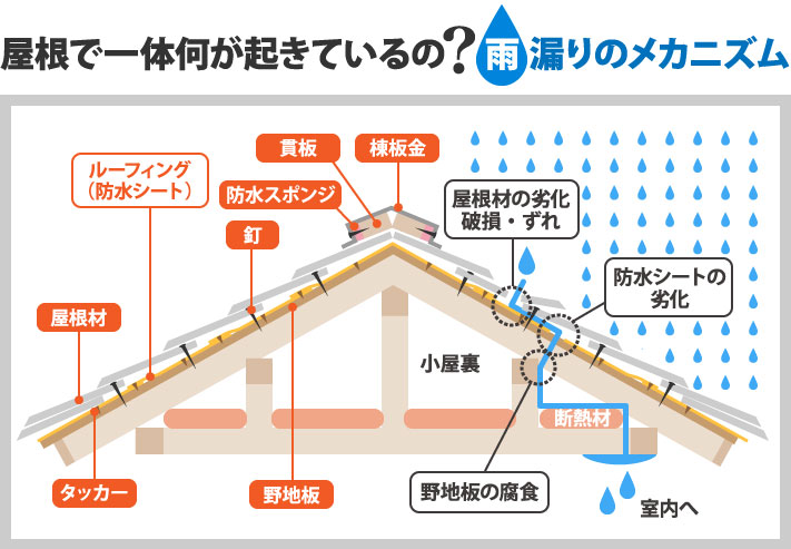 雨漏りのメカニズム表