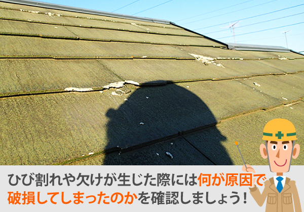 ひび割れや欠けが生じた屋根は破損原因を確認しましょう