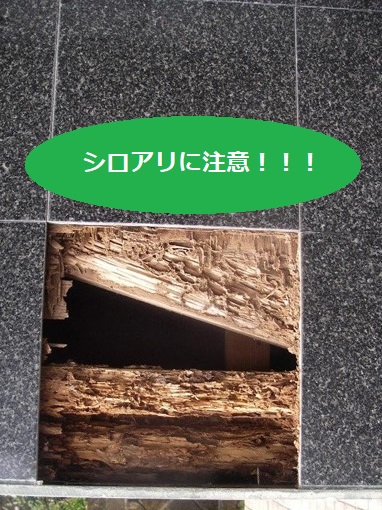 シロアリ被害