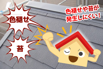 コケが発生しにくいグリシェイドグラッサ