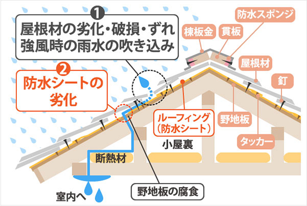 屋根からの室内雨漏り侵入経路