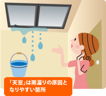 雨漏りの原因となりやすい天窓