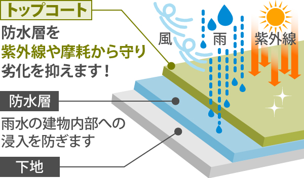 防水層とトップコート断面図