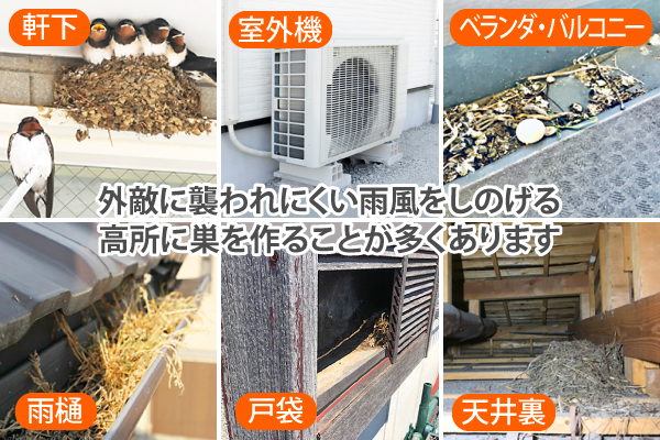 建物で鳥が巣を作りやすい部分の解説図