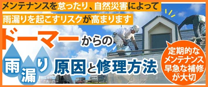 ドーマーからの雨漏り原因と修理方法