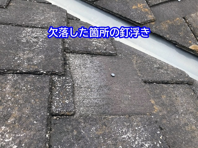 アーバニー割れた箇所の欠落と釘浮き