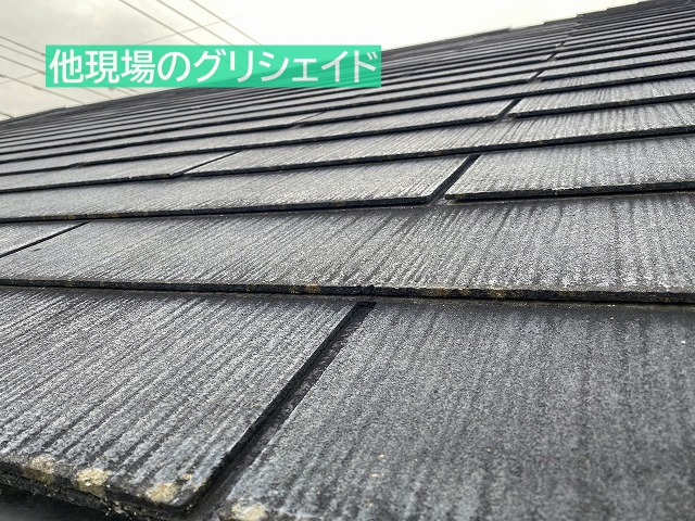 他現場のグリシェイドグラッサ