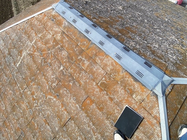 コケやカビに覆われたコロニアル屋根