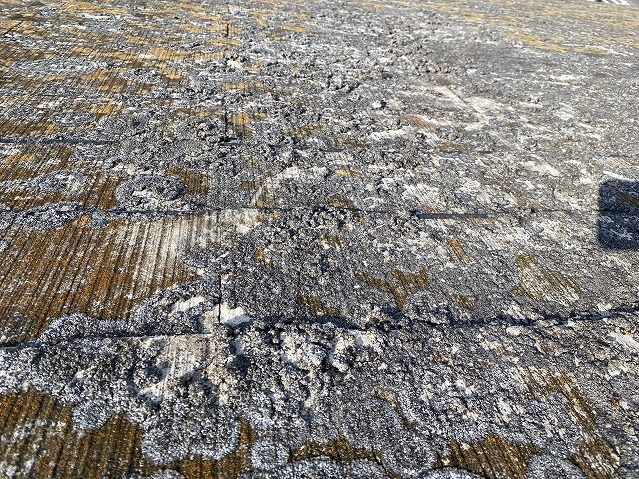 基材のセメント部分にまでコケやカビが増殖したコロニアル屋根