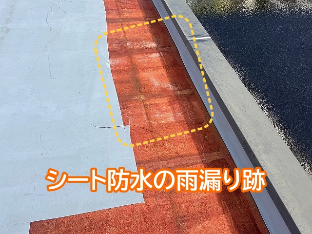 屋上のシート防水の雨漏り跡
