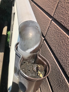 雨樋詰まり