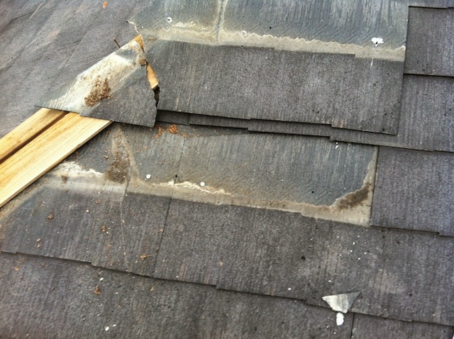 割れた屋根材を丁寧に取り外し、下地の防水シートを確認している様子